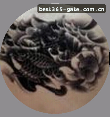 周涛